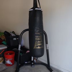 Everlast Punching Bag 