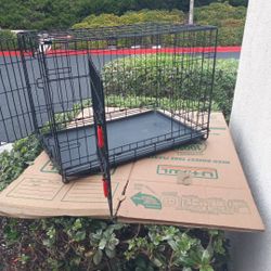 Kong Pet Crate 
