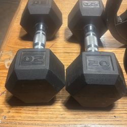 Dumbbells and Plate Weights