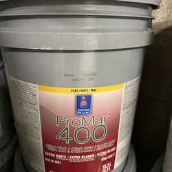 New flat paint 5 gallons white