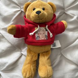 RARE One Direction 1D Niall Horan I-Star Tan Teddy Bear Red Hoodie 2012 8" 9"