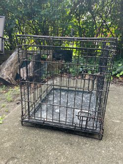 Pet Kennel