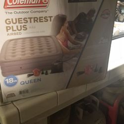 Queen mattress airbed