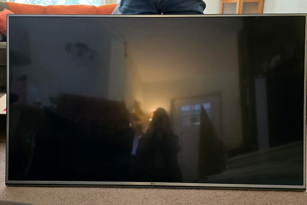 LG 65" TV 