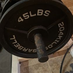 45 Lb Workout plates (4)
