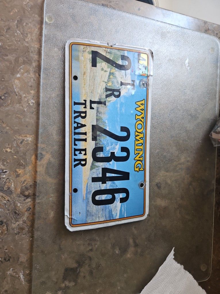 License Plate