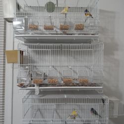 Cages