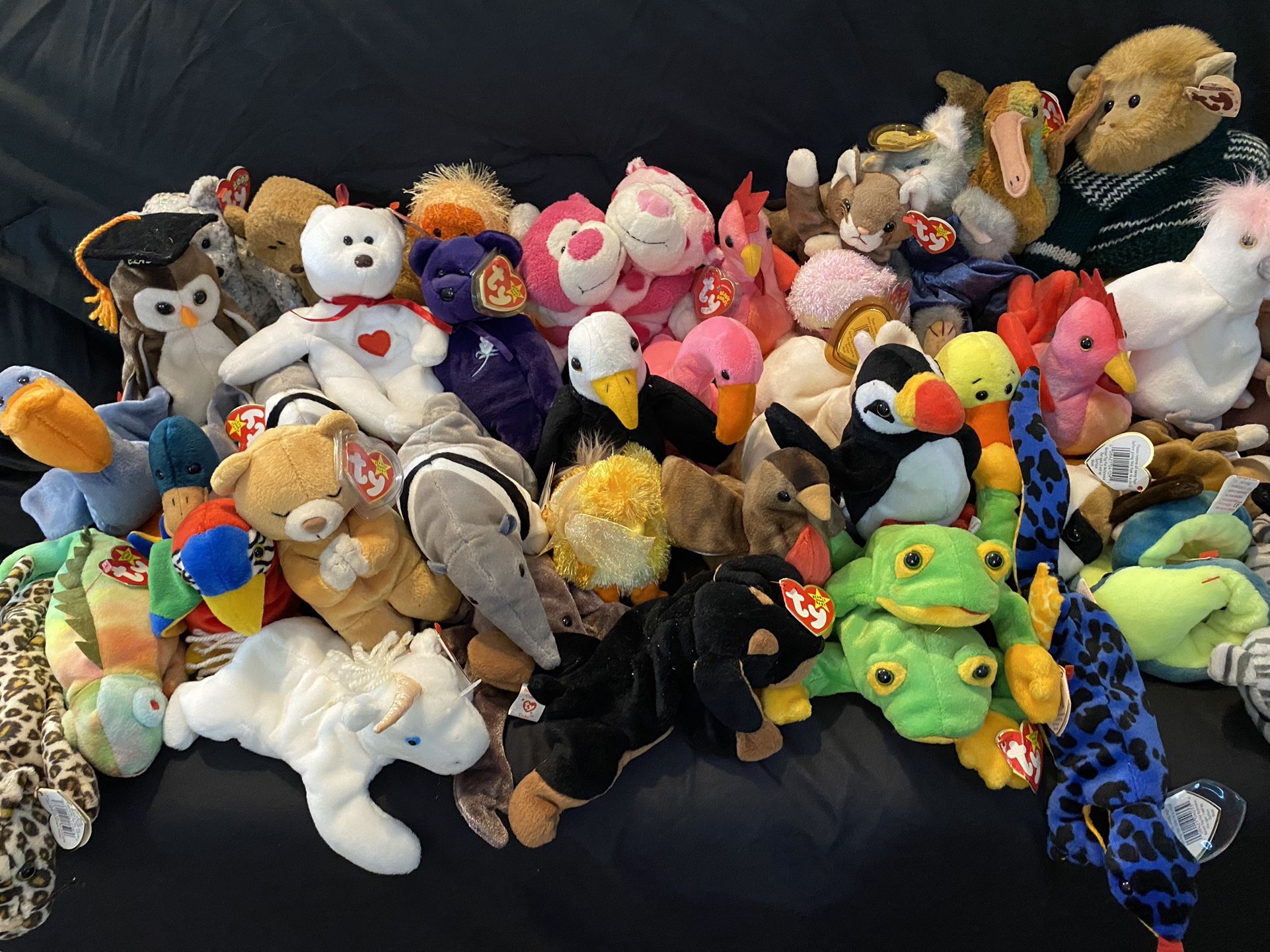Beanie Babies 50+