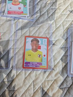 Panini 2026 cards