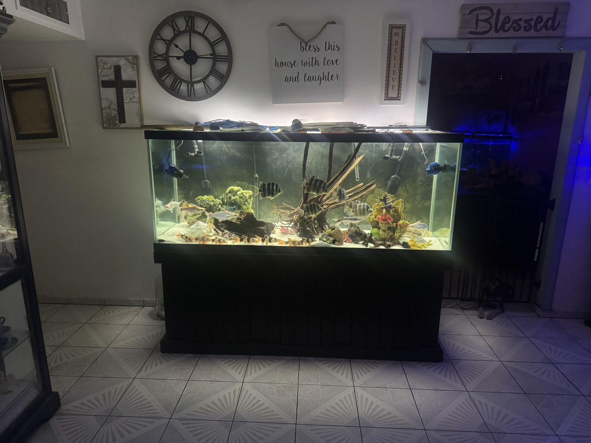225 Gallons Fish Tank
