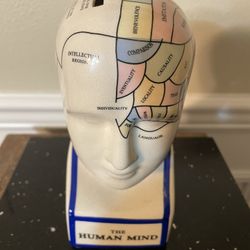 Map of Human Mind Colored Ceramic . Coin Bank. 