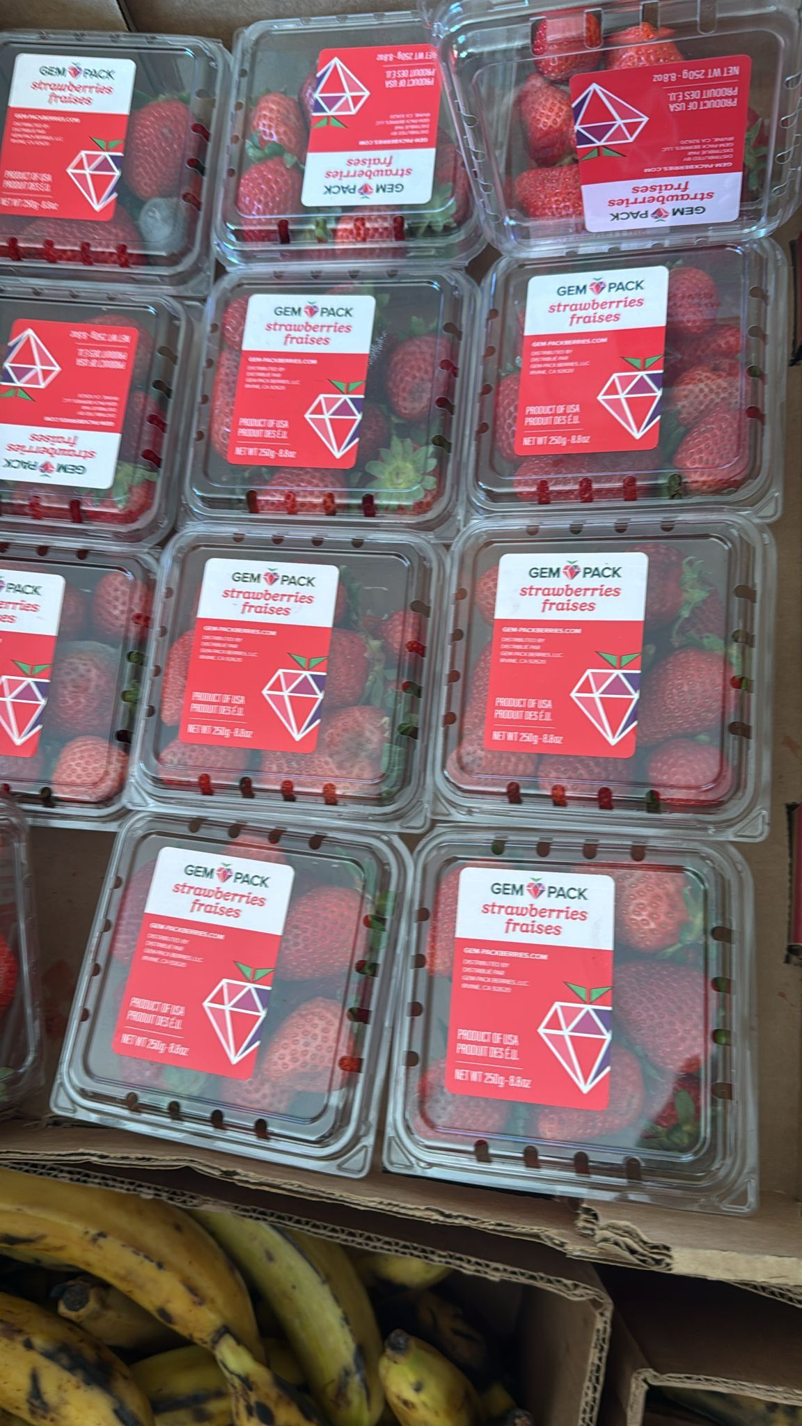 Free Produce Giveaway