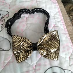 Black And White And Gold Dog Collar With Bow