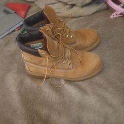 Timberlands Six And A Half