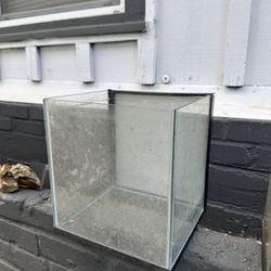 Fish Tank