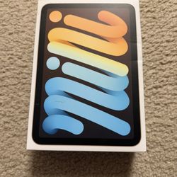 iPad mini 6th generation WiFi + cellular 256 GB box