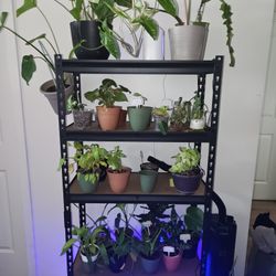 Moving Sale. Need Goneeeeeee CASH ONLY!!