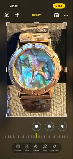 Abalone watch