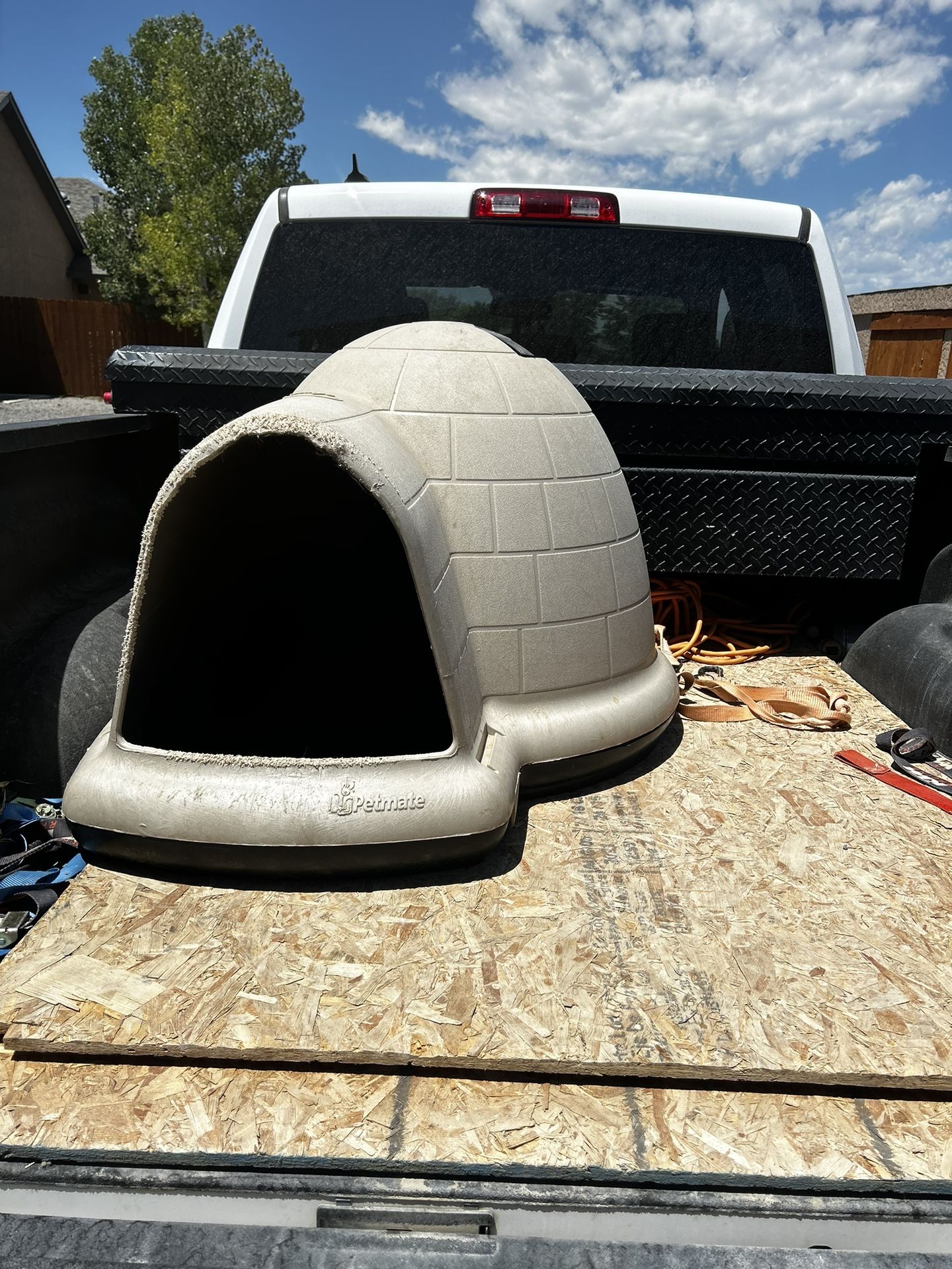Large Dog Igloo