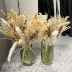 Dry Pampas Flowers Decor 