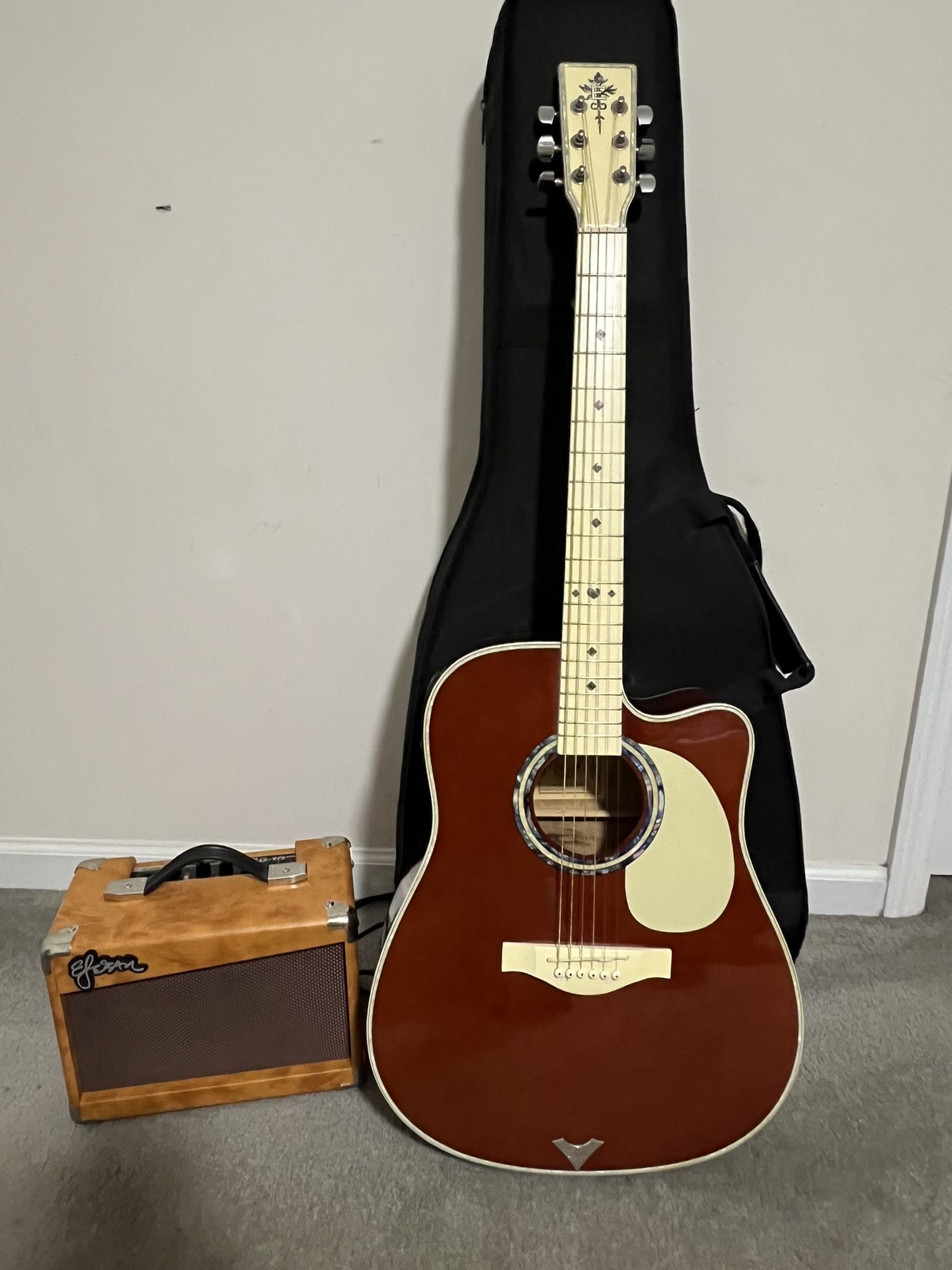 Esteban Acoustic/Electric Guitar, Amp 2010