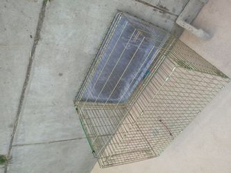 Kennel