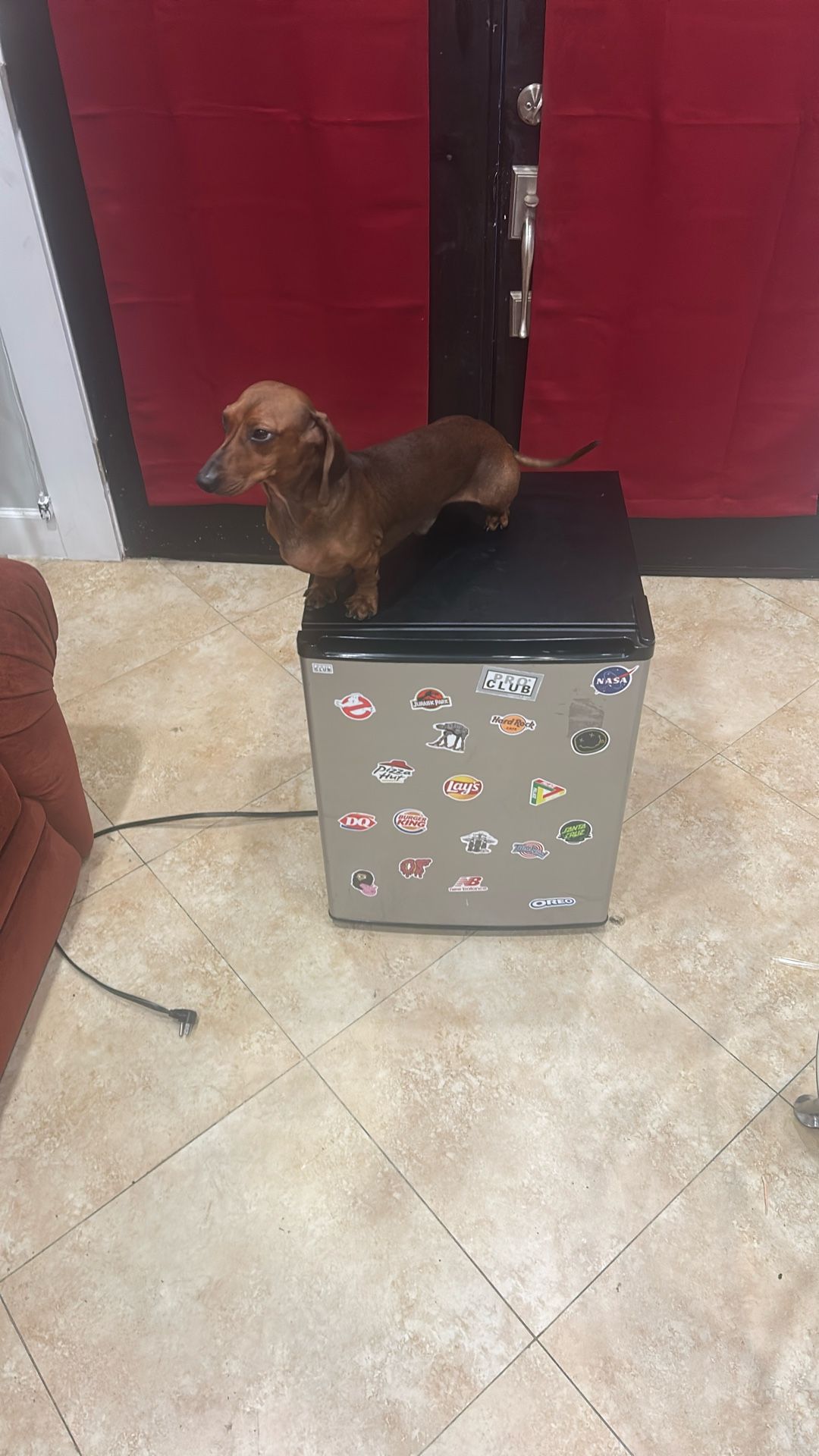 Sanyo Mini Fridge Need Gone Fast