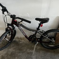 Kid’s 20” Specialized “Hotrock” Bike