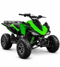 Standard  250CC ATV with Reverse