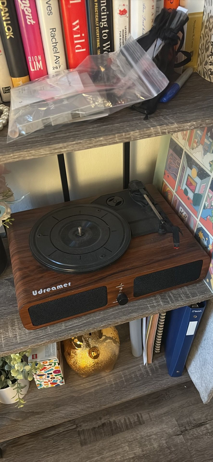 Record Player (Never Used!)