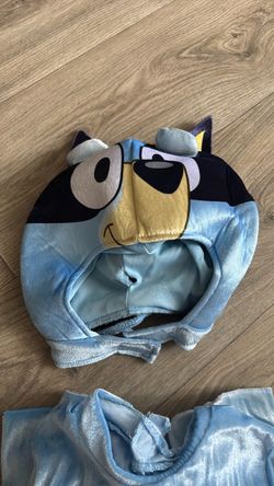 Bluey  costume