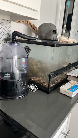 Snake enclosure