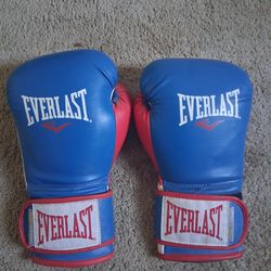 Everlast boxing gloves 16 oz