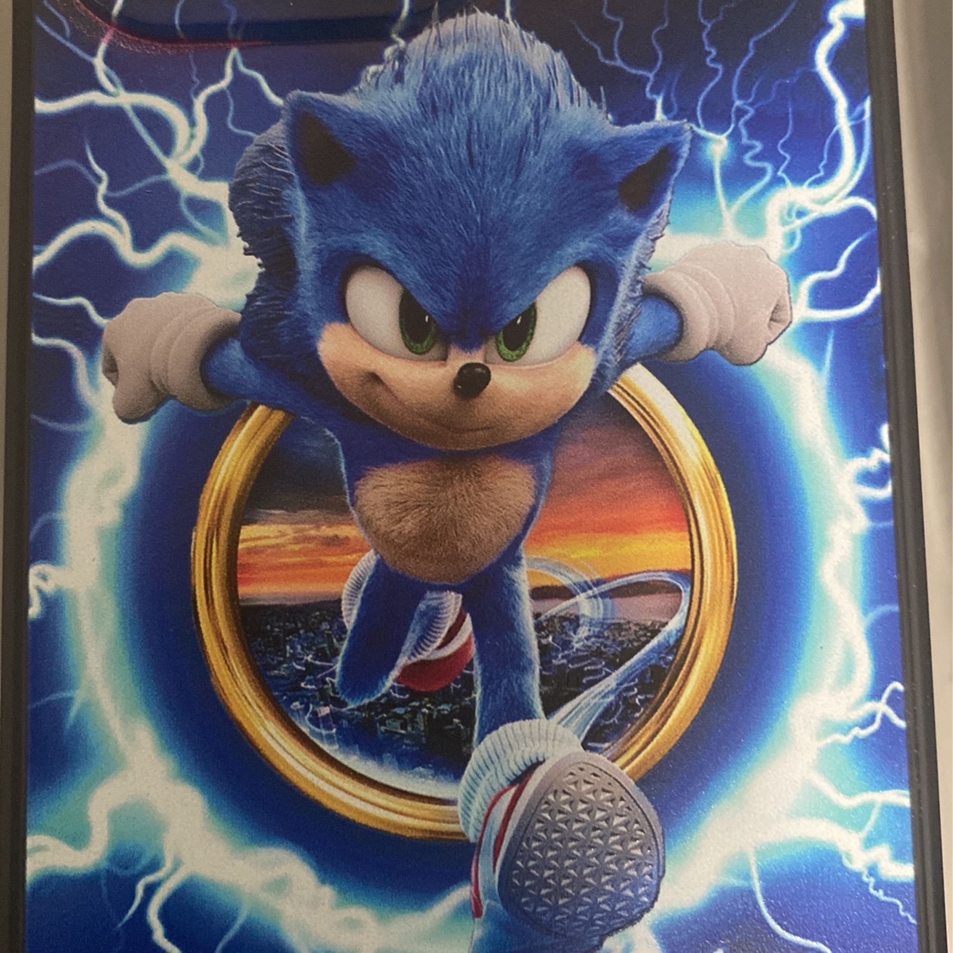 Sonic The Hedgehog iPhone 13 Pro Case