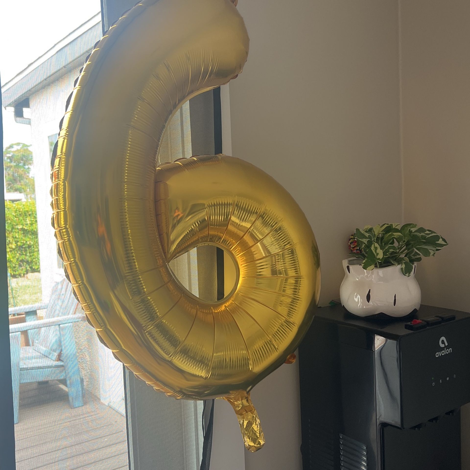 Balloon