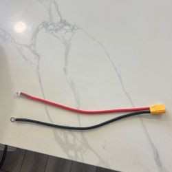 Electro And Co Battery Leads