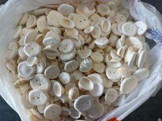 Bag of Sea Shells