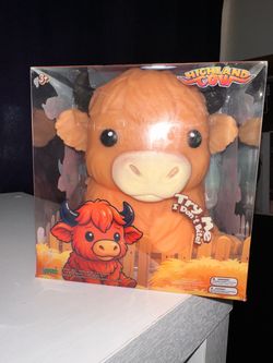 Highland cow