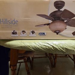 Ceiling fan.  24" with light.   Small room.