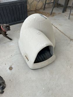 PETCO- Indigo all-Weather Igloo Dog House