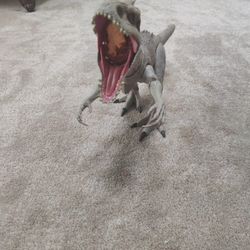 Dinosaur 