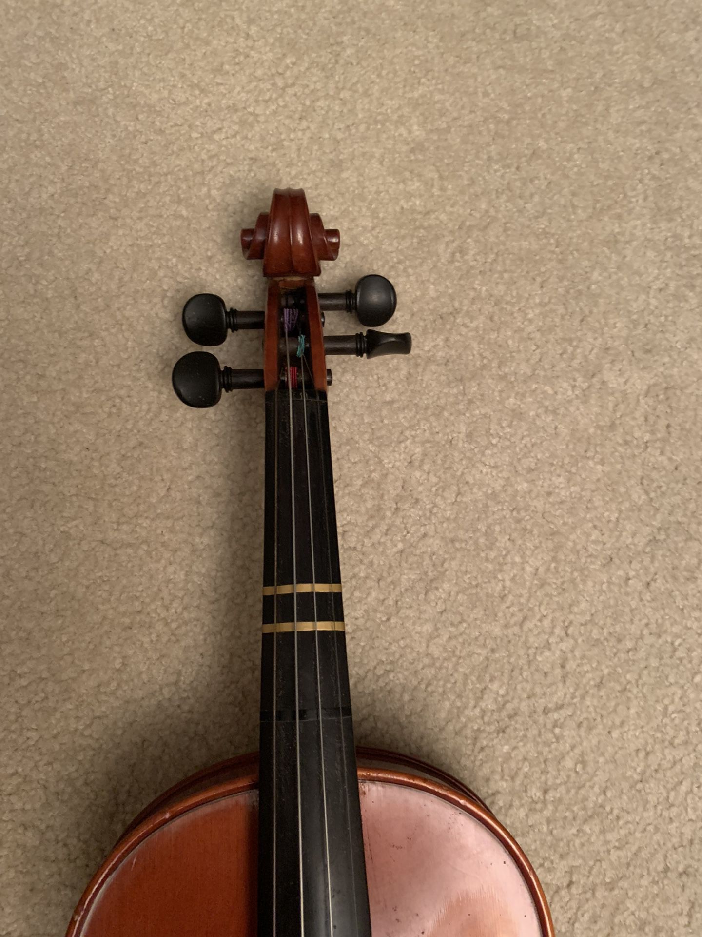 Adult Violin 4/4