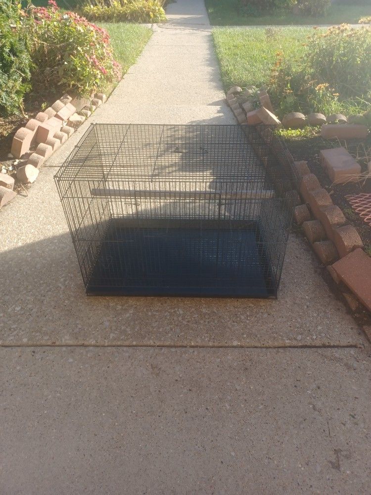 Large Bird Cage Clean