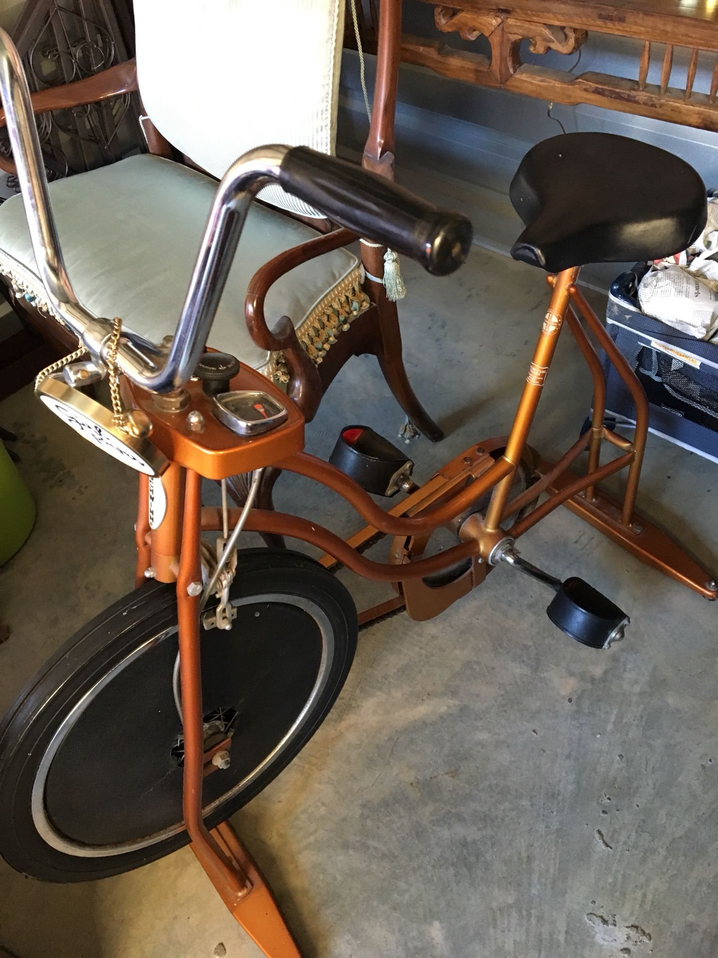 Schwinn Vintage Stationary Bike