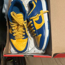 Nike Low Dunk Retro