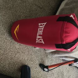 Everlast punching bag