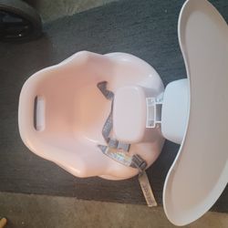 Upset Baby Booster Seat