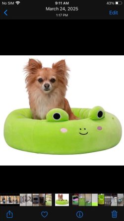 Pet  bed