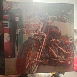 Harley Davidson Datoyna Beach ride