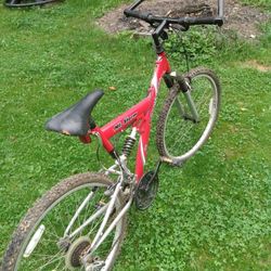 Mountain Bike. Red. Adult